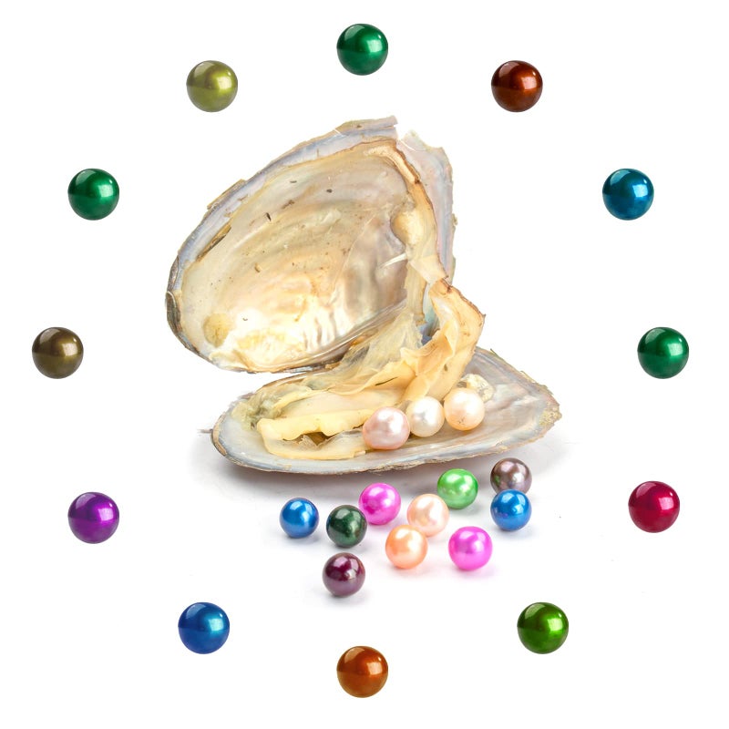 POSHOPS 50 PC Freshwater Oyster with Pearls Inside Round Pearls Oysters Bulk 7-8mm Love Wish Pearl Party Kids Activity Birthday Gift - Image 2
